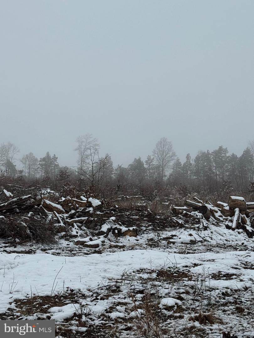 000 Old Mill Rd - Photo 1