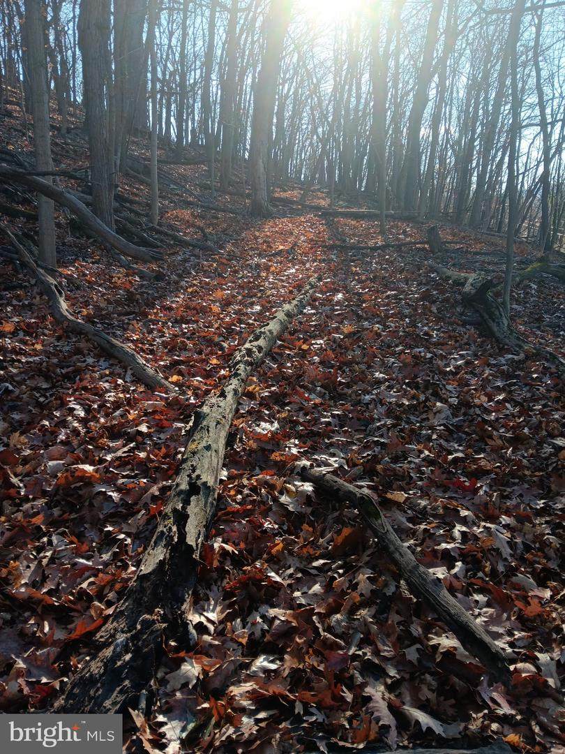  Gray Avenue - Photo 1
