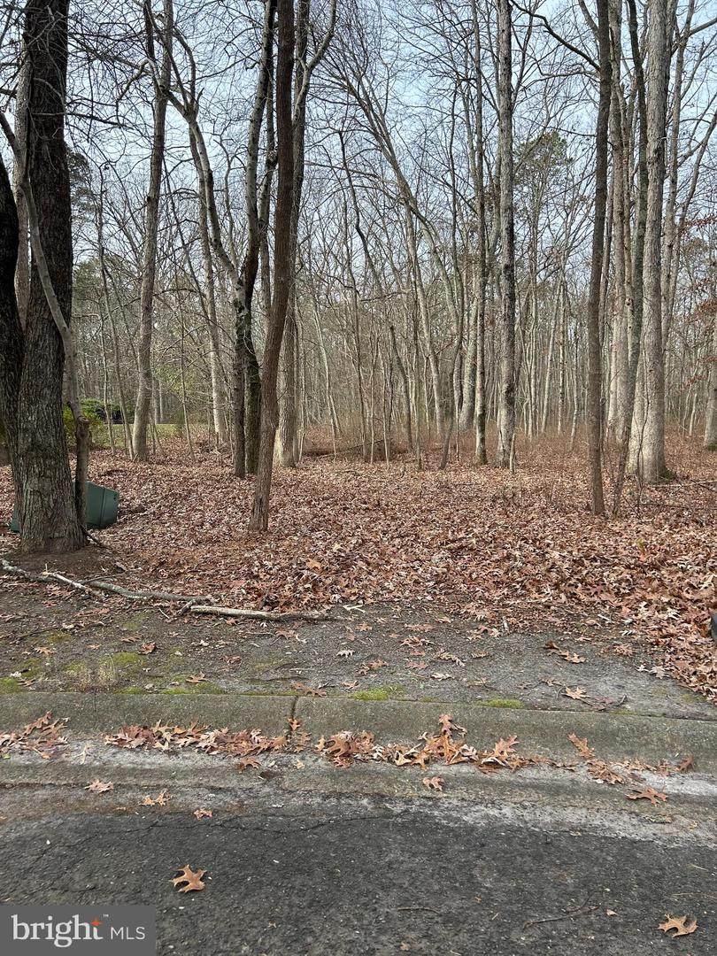 30 Muskingum Drive - Photo 1