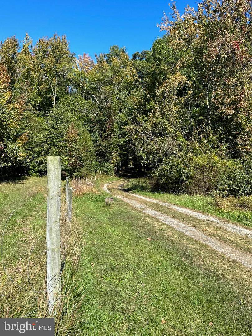 1038 Fieldsboro Road - Photo 1