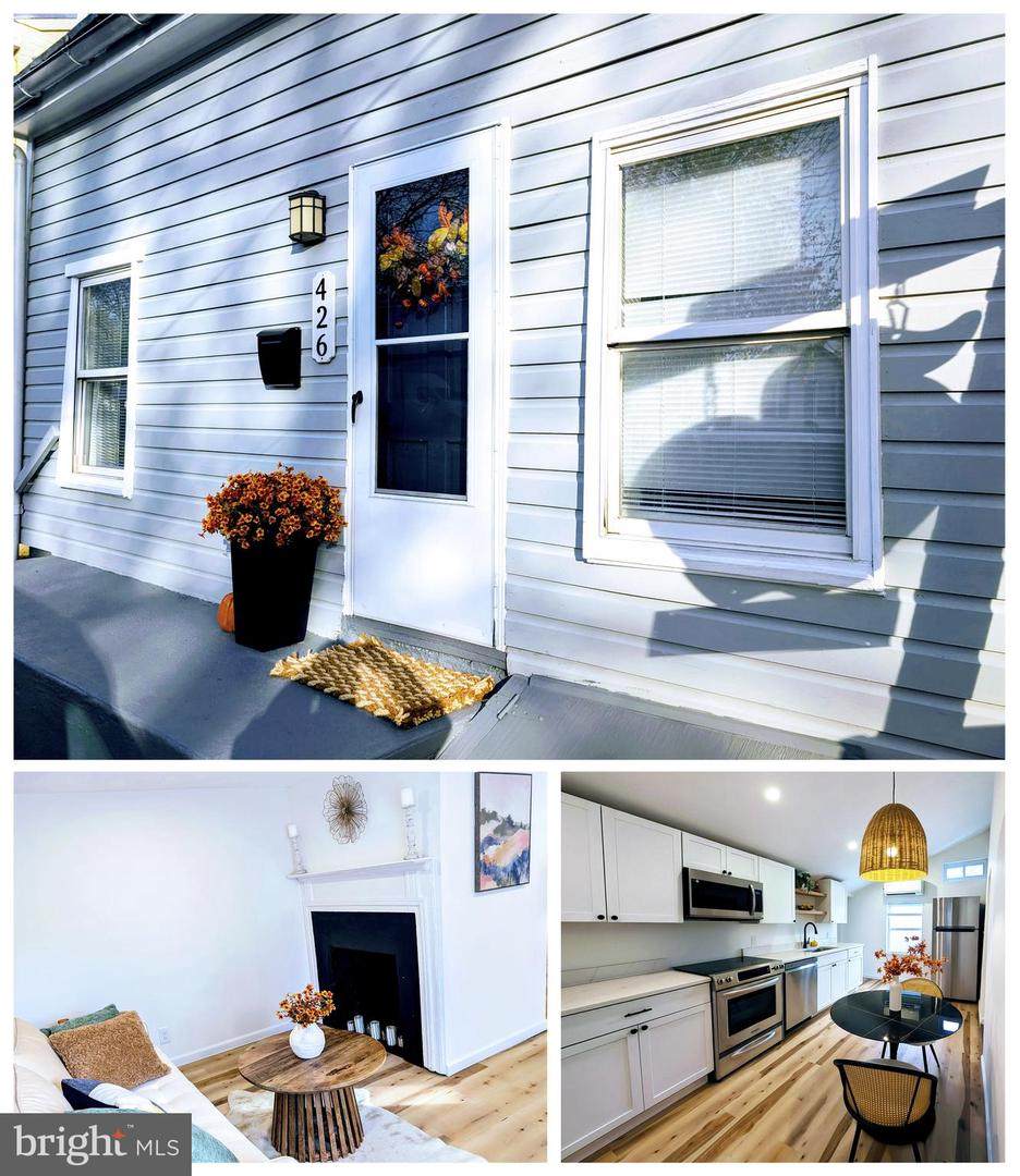 426 Bentz Street - Photo 1