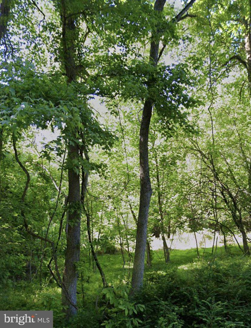 16301 Saint Thomas Church Road - Photo 1