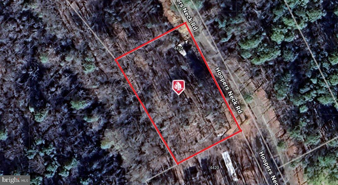 4424 Hoopers Neck Road - Photo 1