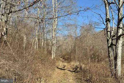 Lot 5, 34.53 Acres Lick Creek - Photo 1