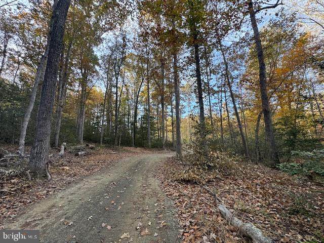  31078 OLD OFFICE RD LOT 1 - Photo 1