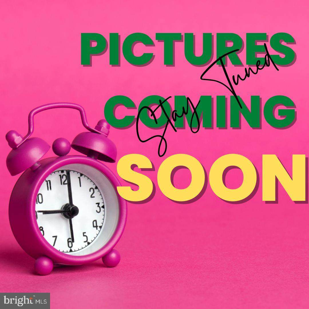 813 Orchard Tree Road - Photo 1