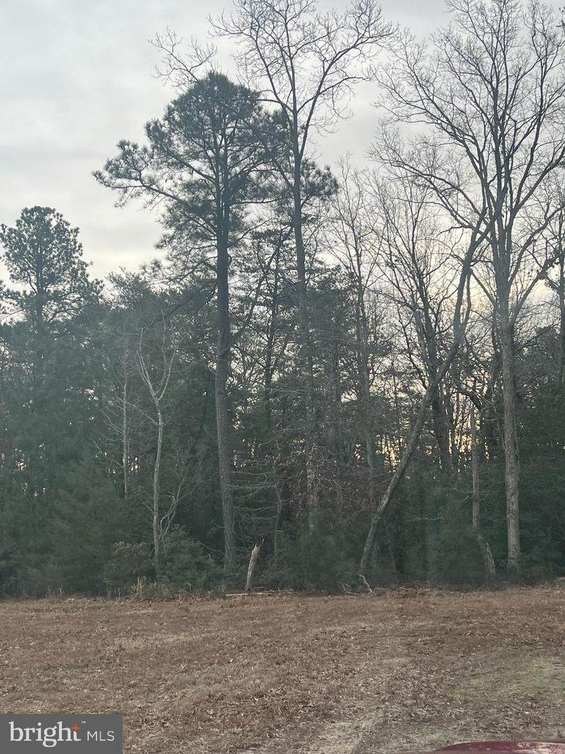  Greens Crossing Way - Photo 1