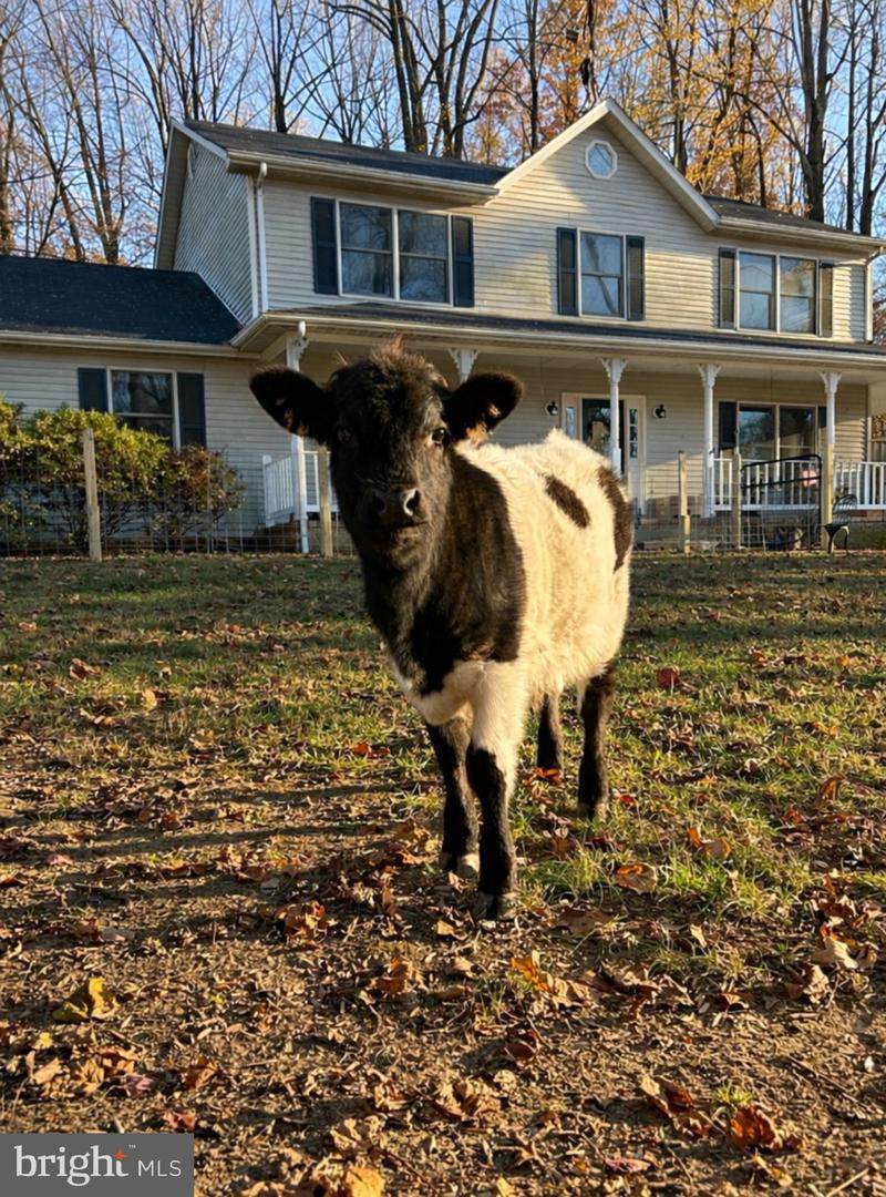 5918 Old Croom Station Road - Photo 1