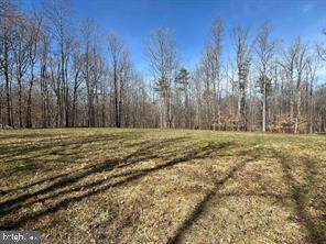 8300 Hook Lane - Photo 1