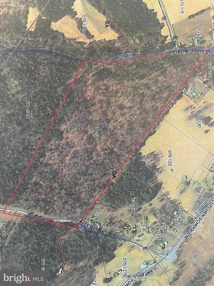  Estaline Valley Road - Photo 1