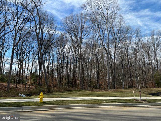  Farragut Drive - Photo 1