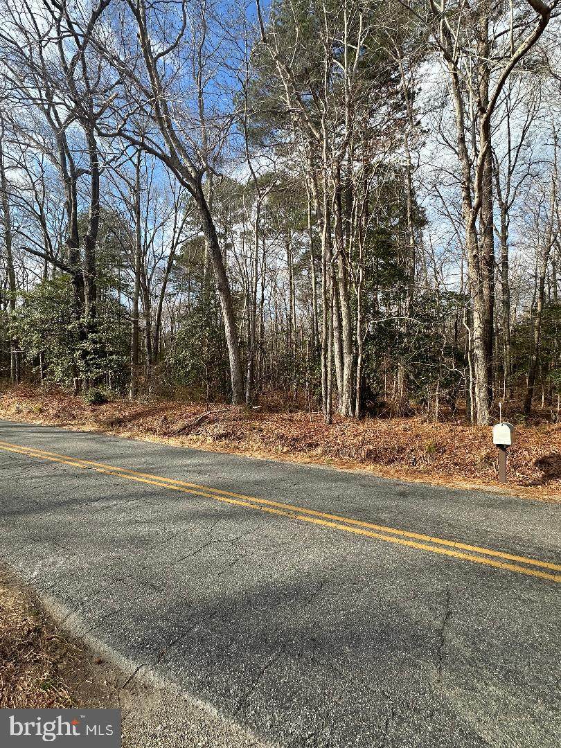 Lot 163A Erica Road - Photo 1