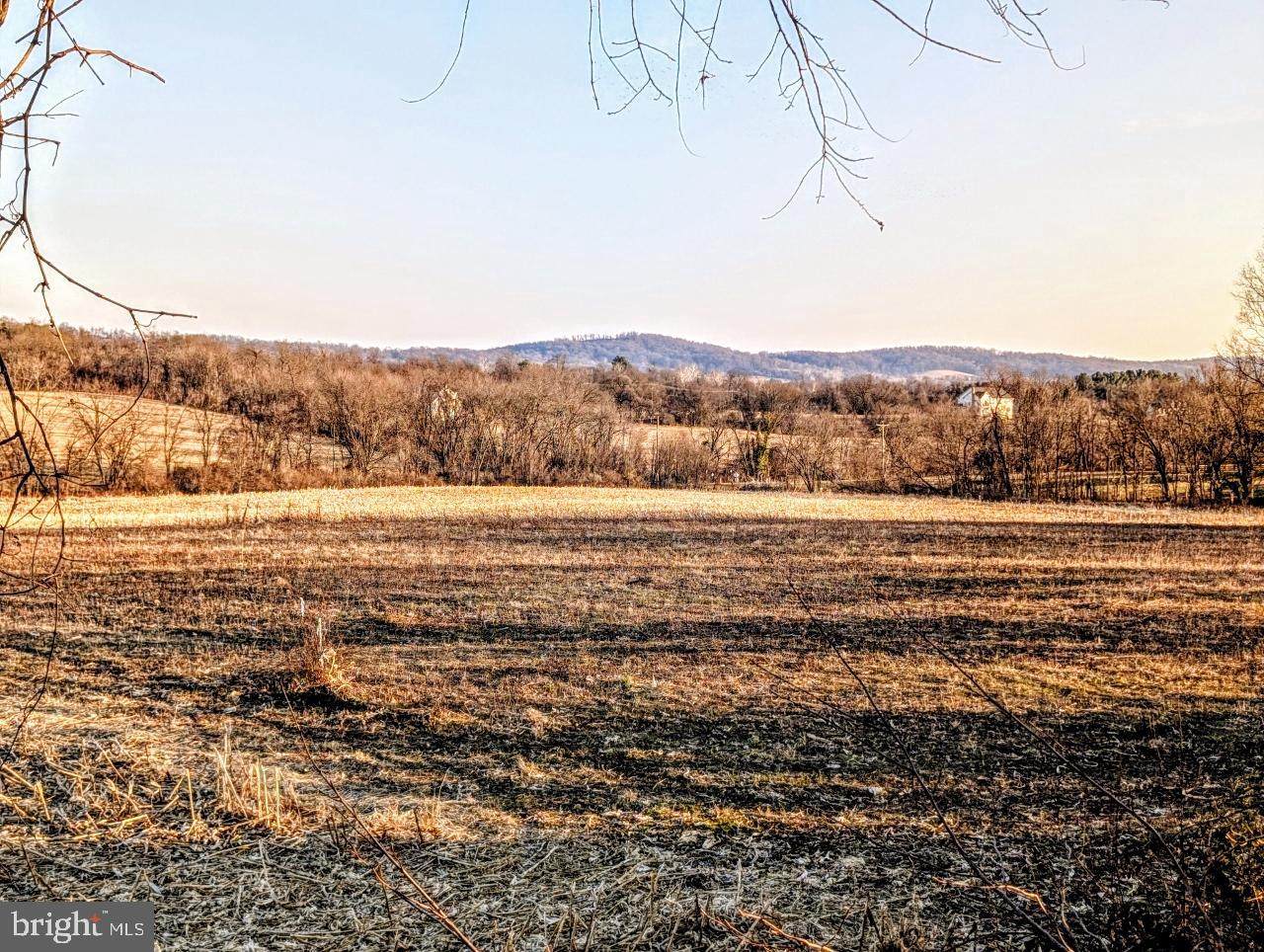 40455 Quarter Branch Road - Photo 1