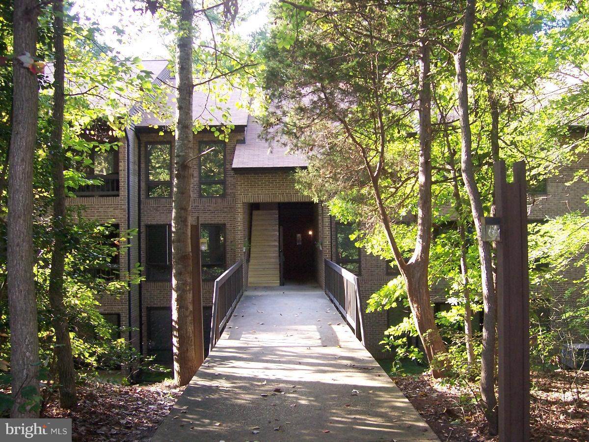 23311 Sugar Maple Court - Photo 1