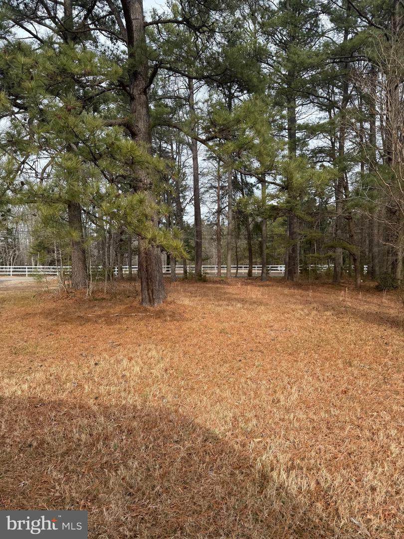 4711 Danville Road - Photo 1