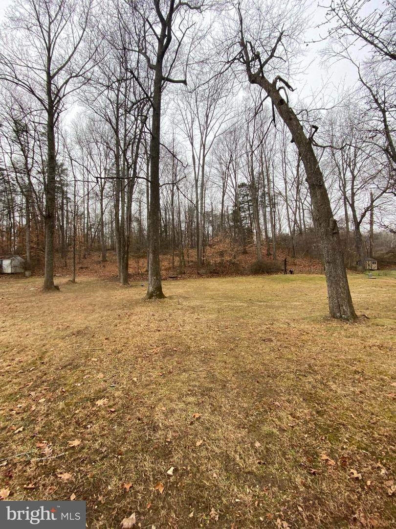  0 JUMPING BRANCH Road - Photo 1