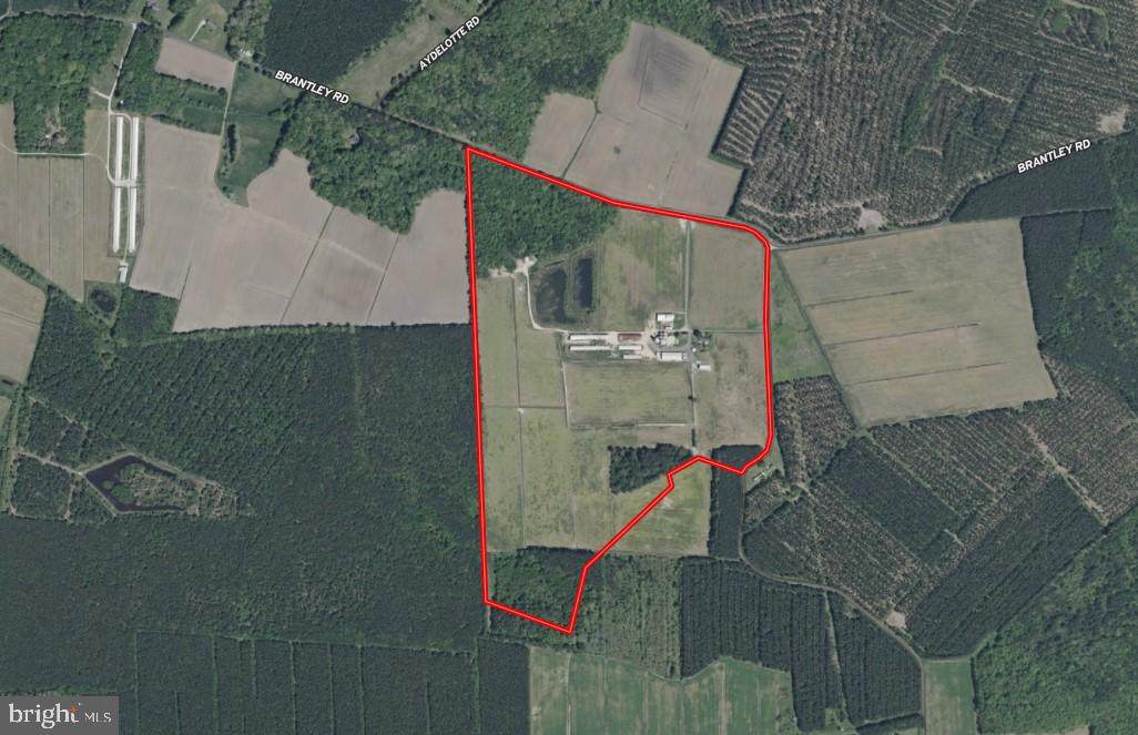 641 Critcher Road - Photo 1