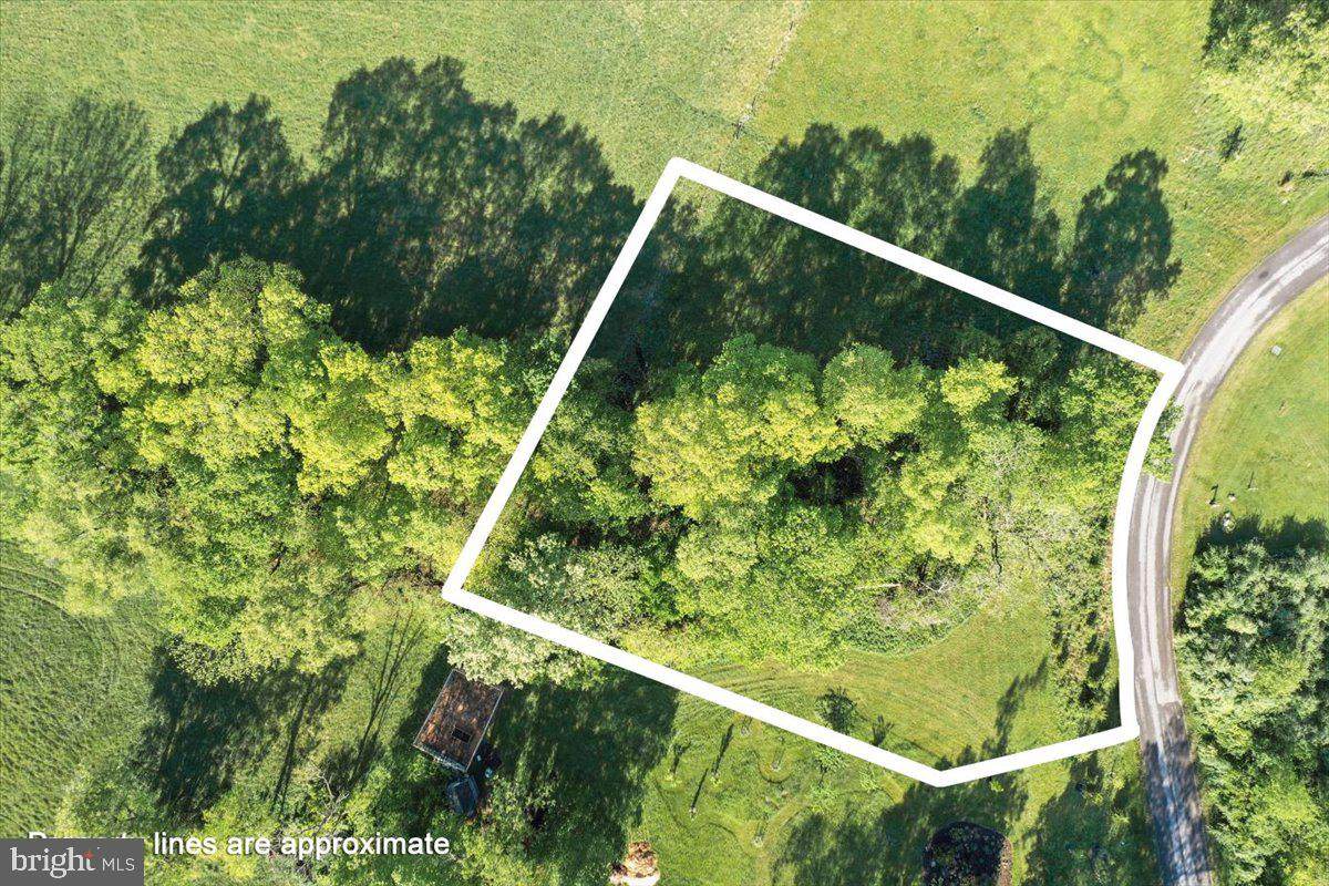LOT 9 Briar Mountain Drive - Photo 1