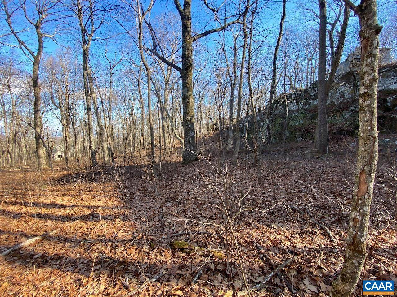 462 Deer Springs Ln - Photo 1