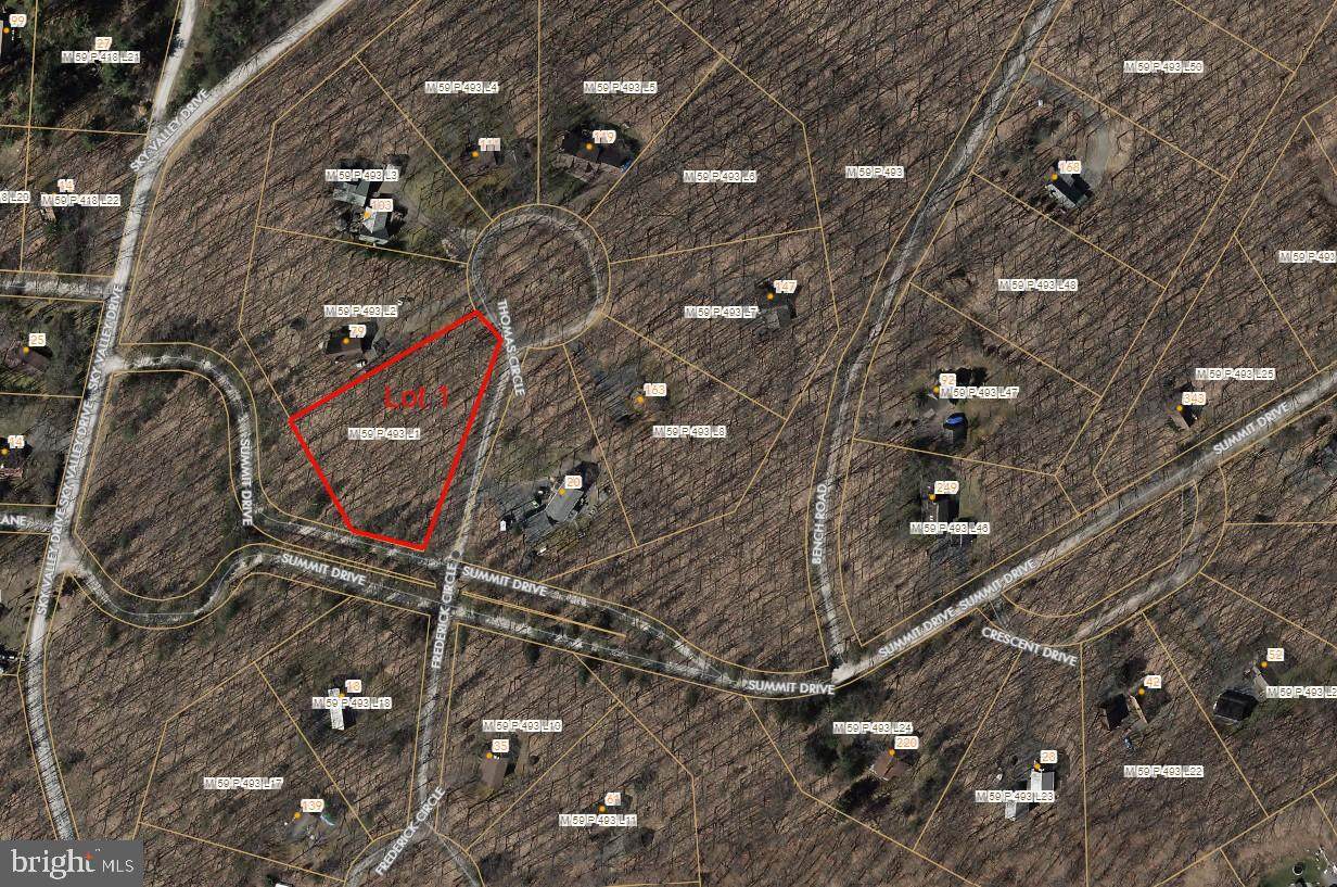 Lot 1 Thomas Circle - Photo 1