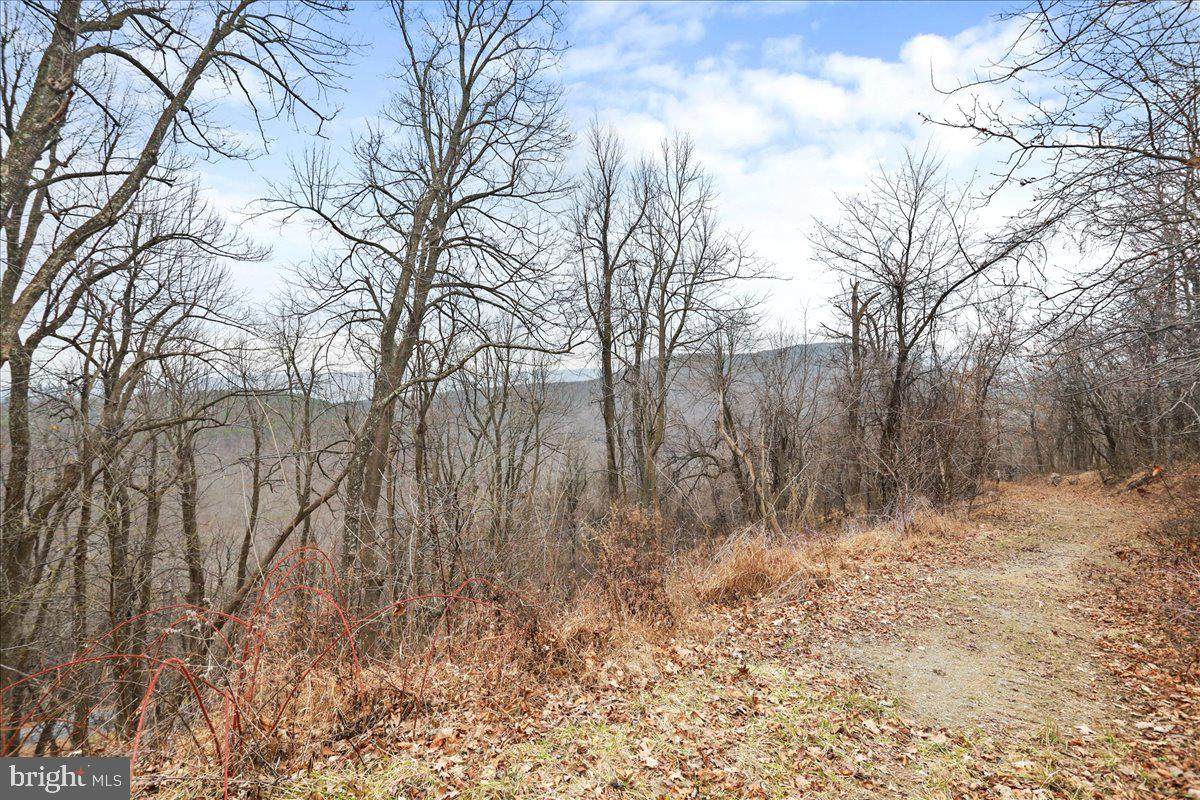 TBD Sw Slope Lane - Photo 1