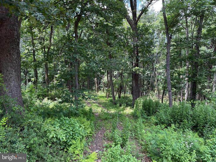 79 Cabin Road - Photo 1