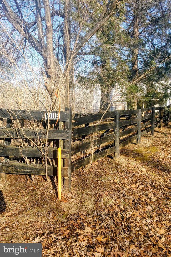 Lot 2 Rixeyville Rd. Rte 229, Adj To Lot 1 - Photo 1