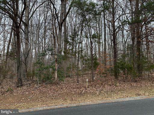 LOTS 1126 and 1127 Nottingham /Ash Road - Photo 1