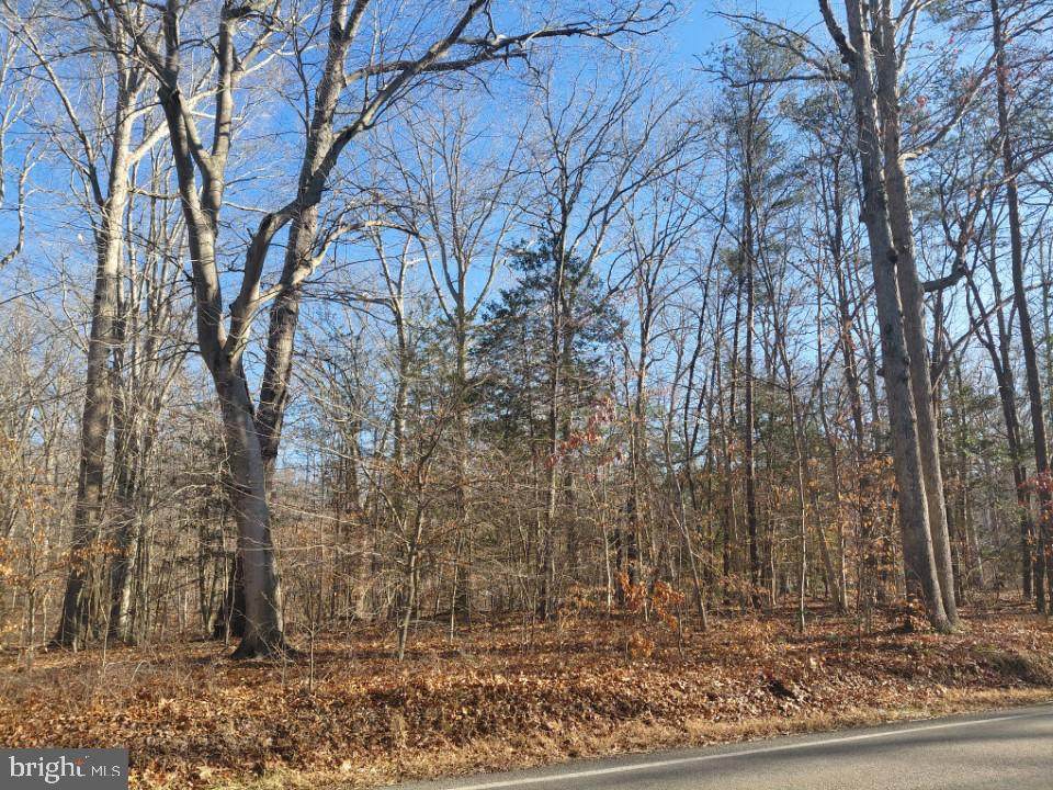 7060 Annapolis Woods Road - Photo 1