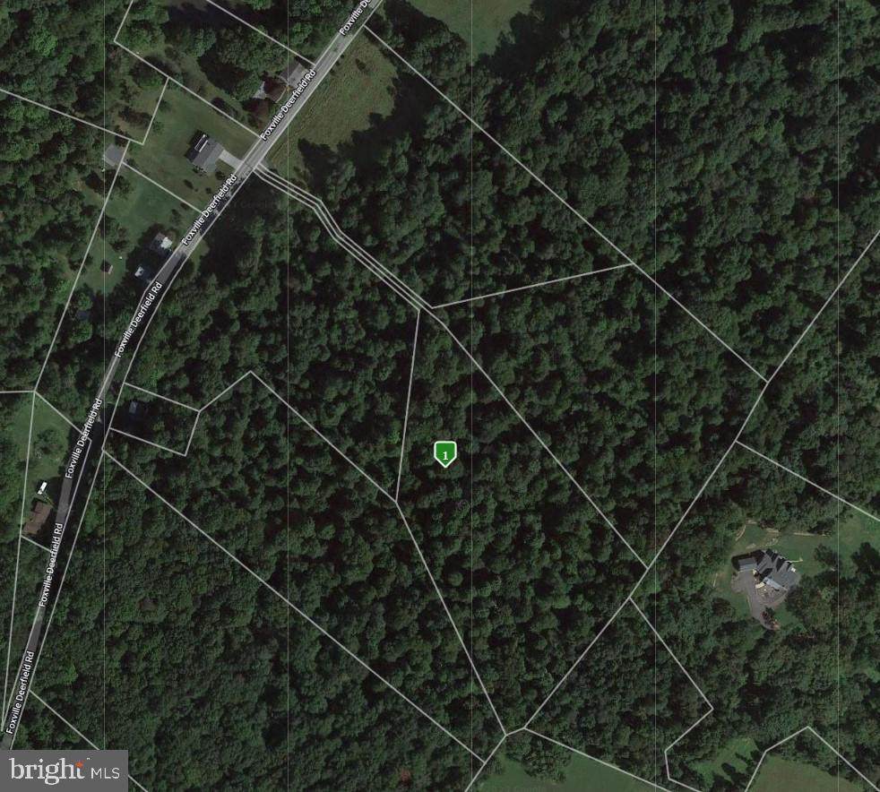 16015 Foxville Deerfield Road - Photo 1