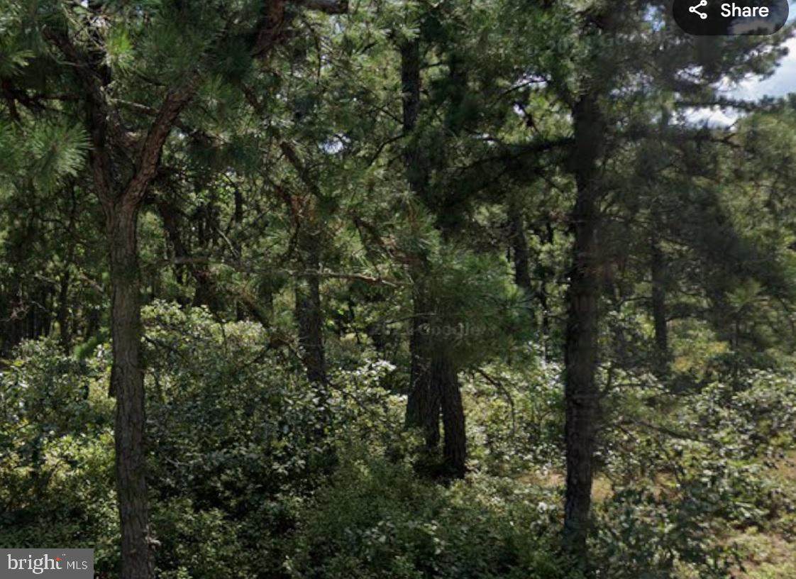 L5 Margaret Street - Photo 1