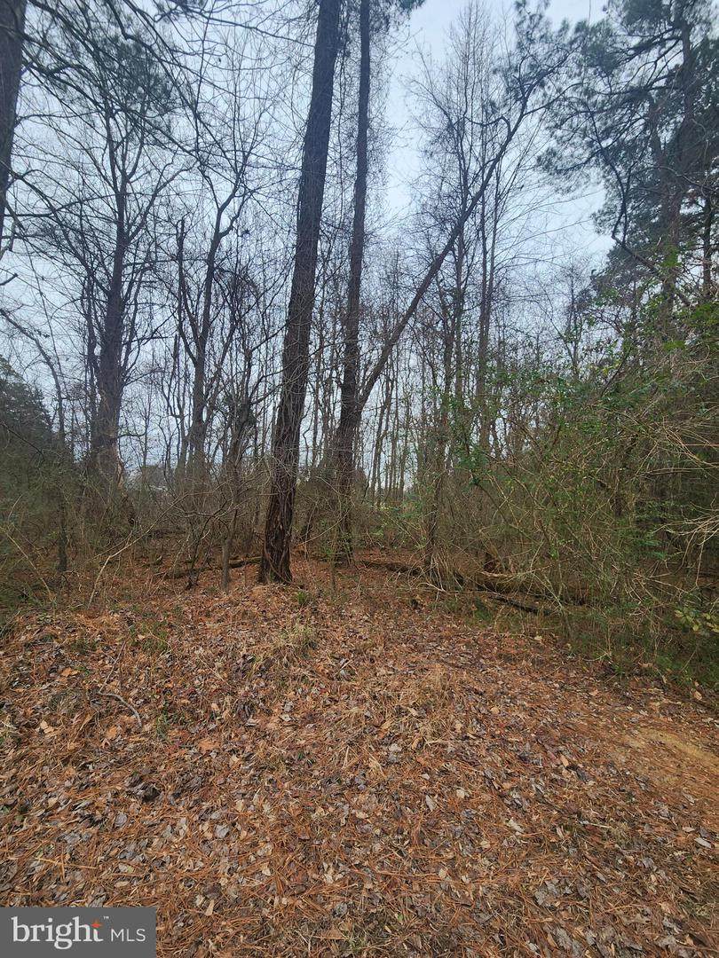  Landsend West Lot 613 - Photo 1