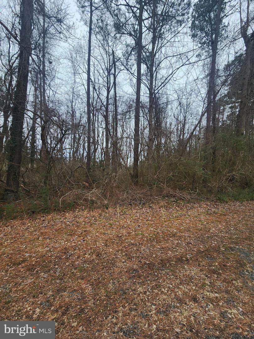  Landsend West Lot 614 - Photo 1