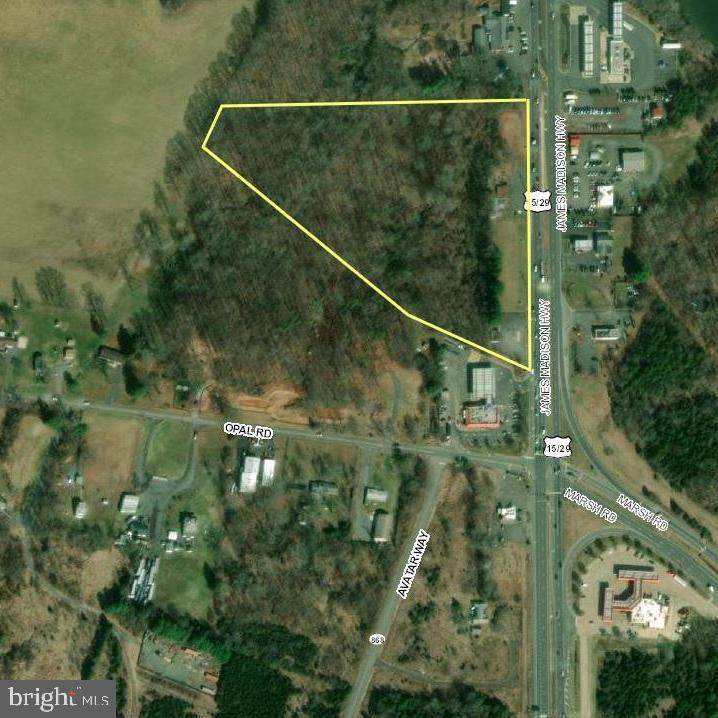 10040 James Madison Highway - Photo 1