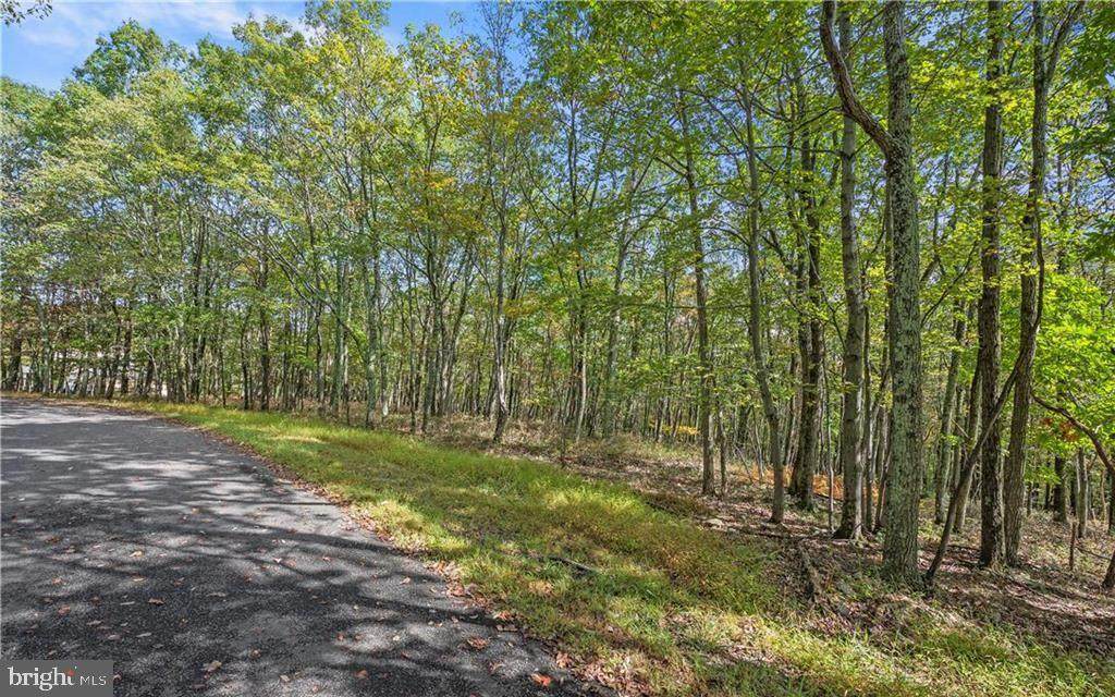0 Stone Ridge Road - Photo 1