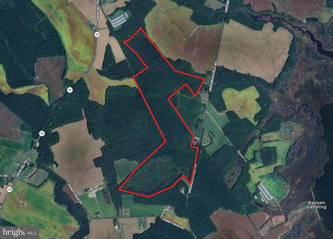 0 Greenbackville Road - Photo 1