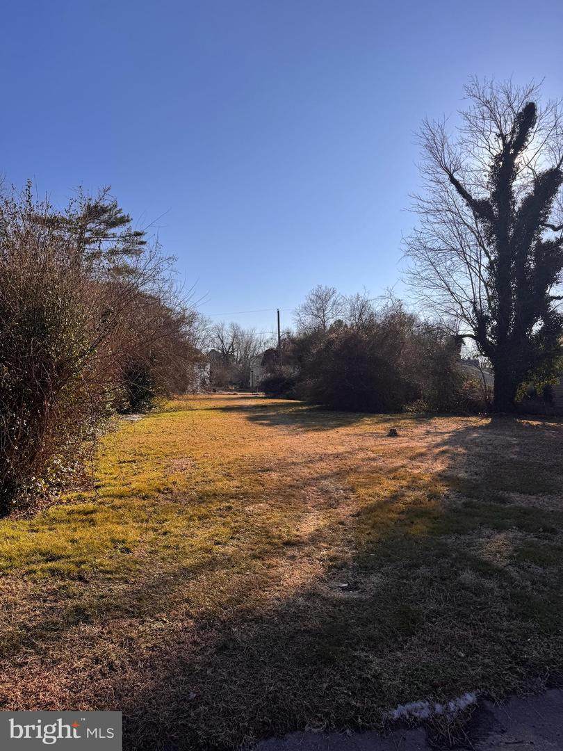 412 Linden Avenue - Photo 1