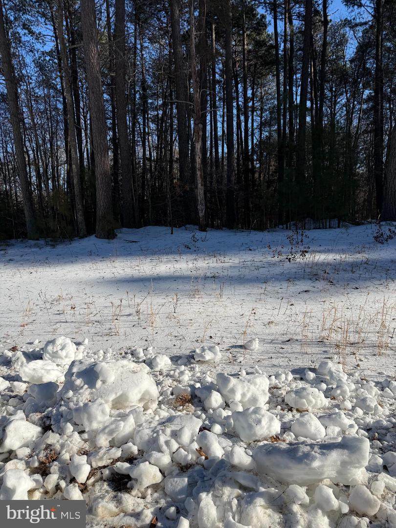 Lot #2 Woodberry Drive - Photo 1