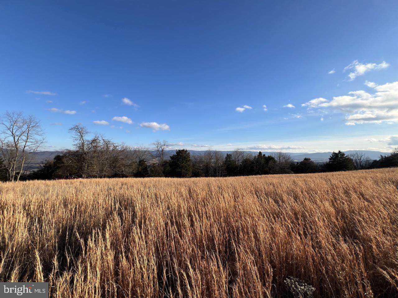 38.43 Acres Howard Sions Road - Photo 1