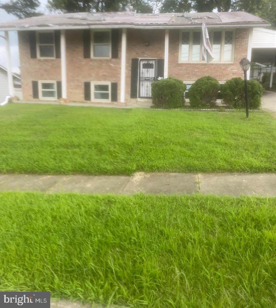 6610 Arlene Drive - Photo 1