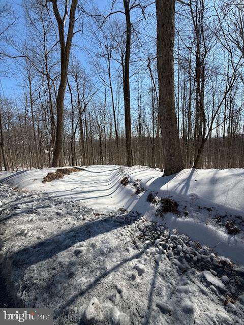  Boonsboro Mt. Road - Photo 1