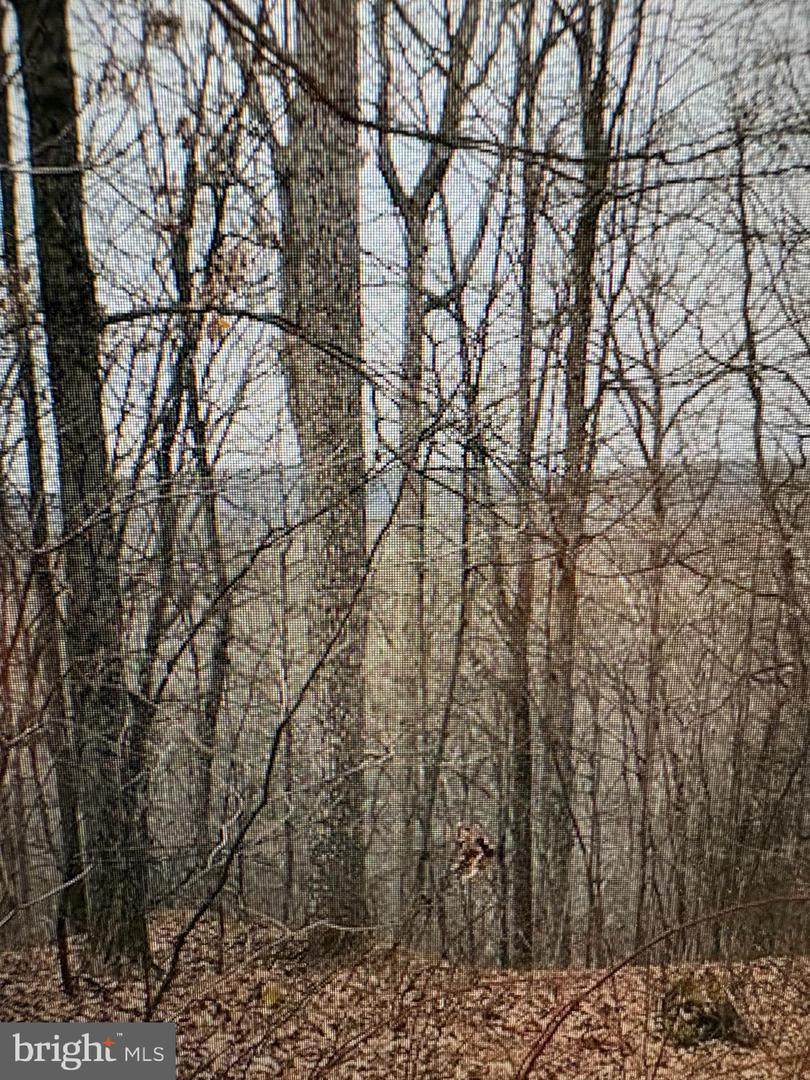 lot 9,10,11,26,28,36 Cubby Hole Lane - Photo 1