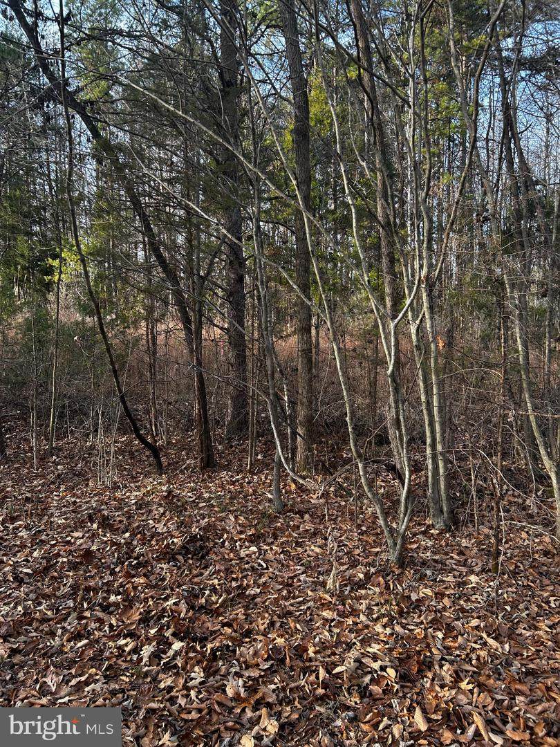 0 Bagwell Drive - Photo 1