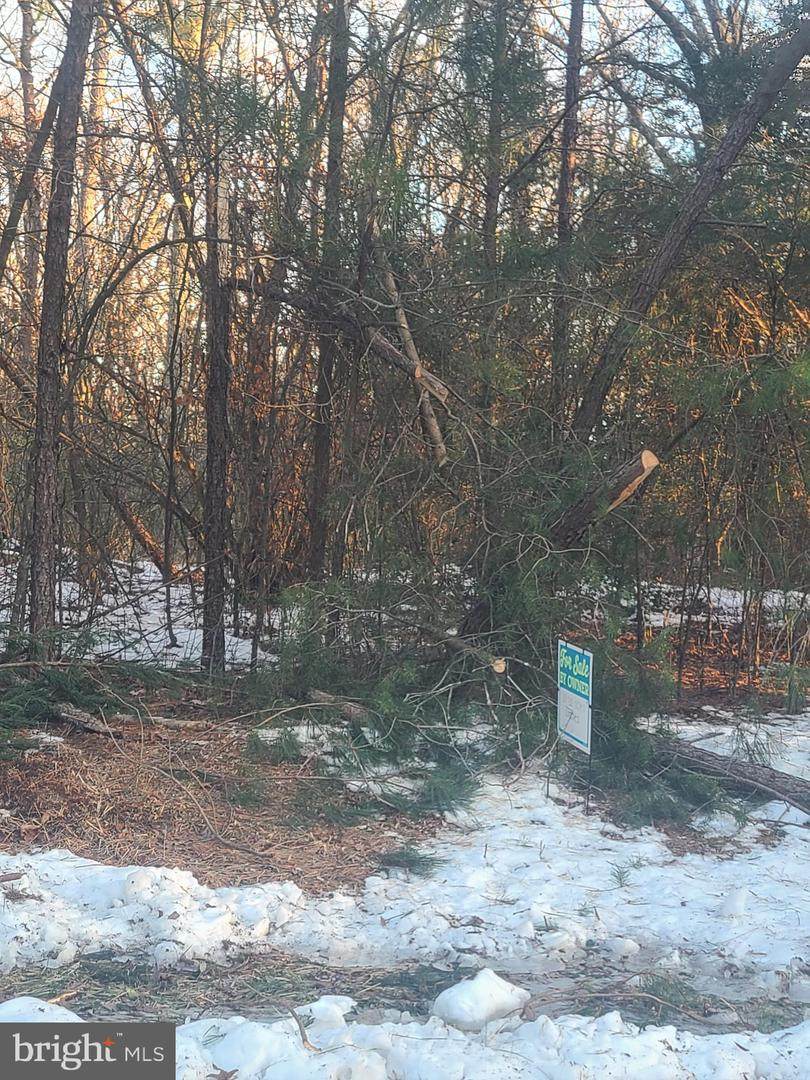  Shiloh Church Road - Photo 1