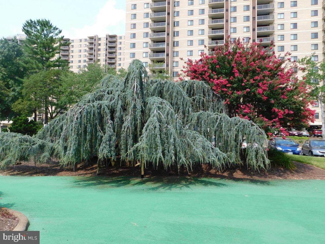 309 Yoakum Parkway - Photo 1