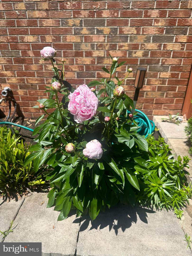 14289 Warrenton Road - Photo 1