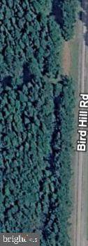 0 Bird Hill Road - Photo 1
