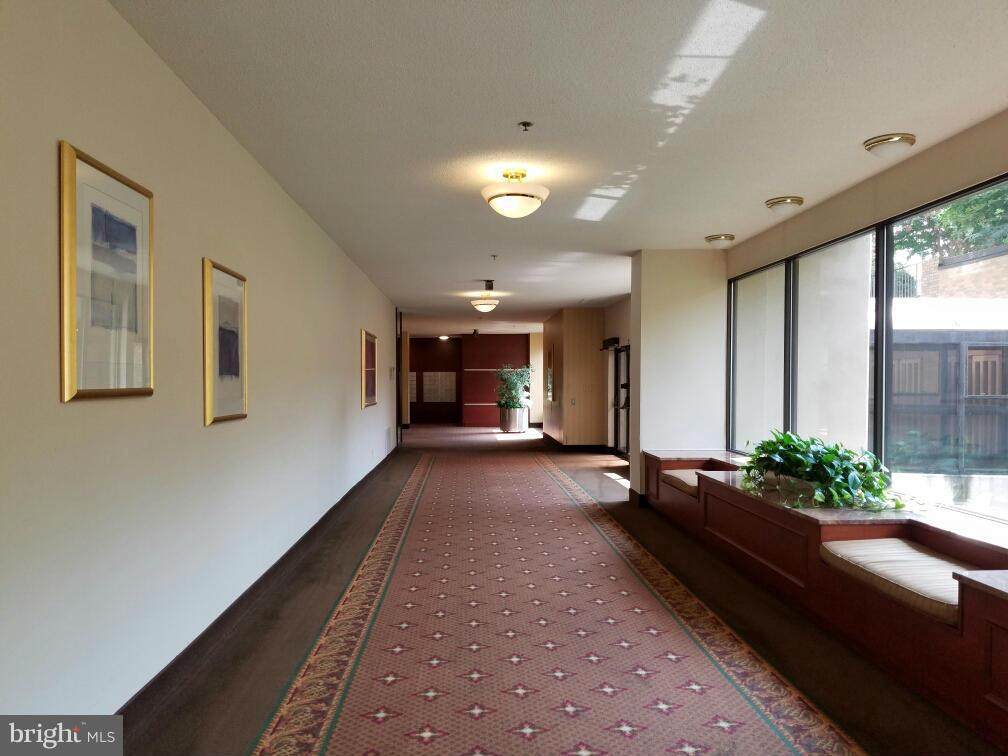 3709 George Mason Drive - Photo 1