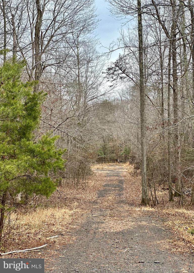 9680 Adams Willett Road - Photo 1
