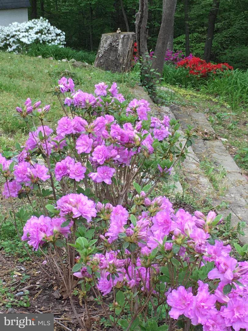 https://bt-photos.global.ssl.fastly.net/brightmls/orig_boomver_1_804563907028-2.jpg